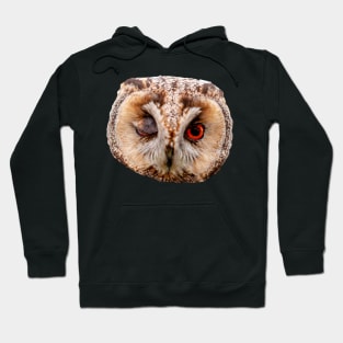 Winking Long Eared Owl Hoodie